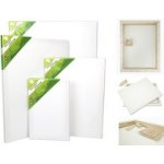 Impap Plátno na rámu 50 x 50 cm 280g/m2 5158 – Zboží Dáma