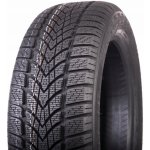 Dunlop SP Winter Sport 4D 225/55 R17 101H – Hledejceny.cz