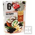 Admit Tea Lights Coconut-Vanilla 6 ks – Zboží Mobilmania