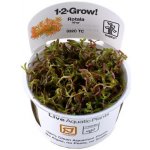 Rotala H´ra – Zboží Dáma