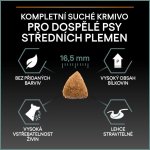 Pro Plan Medium Adult Sensitive Digestion jehněčí 16,5 kg – Zboží Dáma