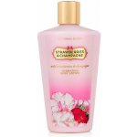 Victoria's Secret Strawberries Champagne - tělové mléko 236 ml – Hledejceny.cz
