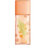 Elizabeth Arden Green Tea Nectarine Blossom toaletní voda dámská 100 ml tester – Sleviste.cz