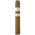 ROCKY PATEL VINTAGE 1999 ROBUSTO – Zboží Mobilmania