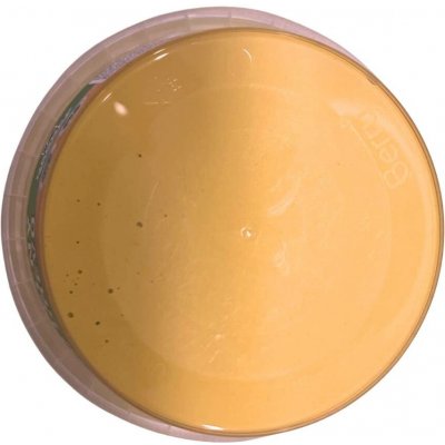 Debbex 00504RL Brousitelný tmel na dřevo 250 g borovice – HobbyKompas.cz