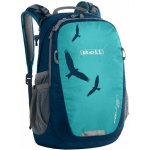 Boll Falcon tyrkysový – Hledejceny.cz