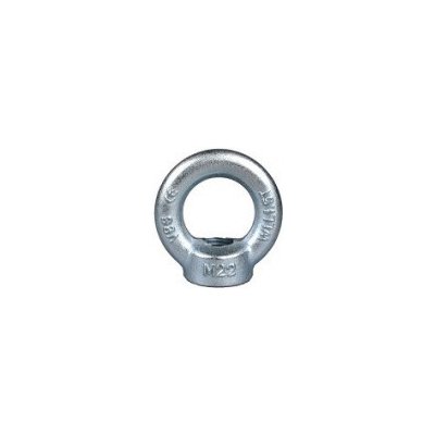 Matice závěsná DIN582 M18 zn – Hledejceny.cz