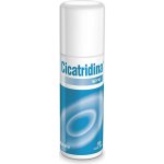 Cicatridina sprej 125 ml – Zbozi.Blesk.cz
