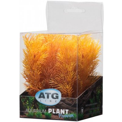 ATG Premium rostlina mini 8 až 14 cm 204 – Zboží Mobilmania