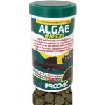 Prodac Algae Wafers 250 ml, 125 g – Sleviste.cz