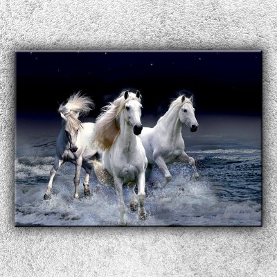 IMPAR Foto na plátno Divocí koně 1 70x50 cm – Zboží Mobilmania