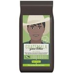 Rapunzel Hero Coffee Guatemala bio zrnková 250 g – Hledejceny.cz