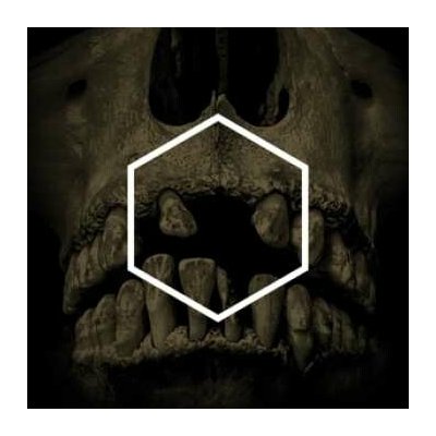 3 Lustmord - The Others [Lustmord Deconstructed] LTD LP – Hledejceny.cz