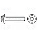 BOSSARD 3060960 Šroub; s límcem; M5x12; 0,8; Hlava: kulatá; Torx®; TX25 – Sleviste.cz