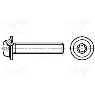 BOSSARD 3060960 Šroub; s límcem; M5x12; 0,8; Hlava: kulatá; Torx®; TX25 – Sleviste.cz