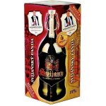 Svijany Svijanský Fanda polot. 11° 4,8% 1 l (sklo) – Sleviste.cz