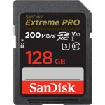 SanDisk SDXC 128 GB SDSDXXD-128G-GN4IN – Zbozi.Blesk.cz