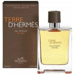 Hermès Terre D'Hermès Eau Intense Vetiver parfémovaná voda pánská 100 ml – Hledejceny.cz