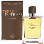 Hermès Terre D'Hermès Eau Intense Vetiver parfémovaná voda pánská 100 ml – Sleviste.cz