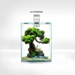 Aquael Shrimp Smart Day & Night bílý 20 x 20 x 25 cm 10 l – Hledejceny.cz