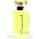 Casual Green Vonné feromony pro muže 50 ml – Sleviste.cz