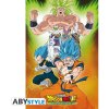 Plakát Abystyle Dragon Ball Broly plakát Group 61 x 91,5 cm