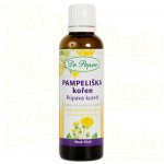 Dr. Popov Pampeliška kořen originální bylinné kapky 50 ml – Hledejceny.cz