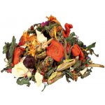 Trixie Mix přírodní pro agamy vousaté 100 g – Zboží Dáma