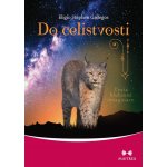 Do celistvosti - Cesta hlubinné imaginace - Gallegos Eligio Stephen – Hledejceny.cz