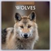 Kalendář Wolves Wölfe 16-Monats 2024