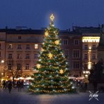 DECOLED LED světelná sada na vánoční stromy vysoké 9-11 m teplá bílá s Flash dekory EFD05W – Zboží Dáma
