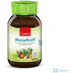 P. Jentschura WurzelKraft omnimolekulární BIO potravina 300 g – Hledejceny.cz