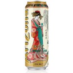 Arizona Diet Green Tea 0,65 l – Sleviste.cz