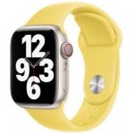 Apple 41mm Lemon Zest Sport Band MN2A3ZM/A – Hledejceny.cz