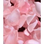 Carolina Herrera Good Girl Blush parfémovaná voda dámská 30 ml – Hledejceny.cz