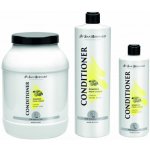 Iv San Bernard Citronový kondicionér 1000 ml – Hledejceny.cz