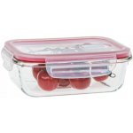 Tescoma obdelníková Freshbox Glass 892171 0,6 l – Sleviste.cz