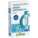 ARNICA MONTANA POR 9CH GRA 4G