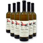 Papari Valley - Chinuri Rkatsiteli Kvevri bílé suché víno 12,5% 6 x 0,75 l (holá láhev) – Hledejceny.cz
