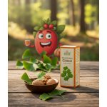 Grešík Ginkgo kapky Devatero bylin 50 ml – Hledejceny.cz