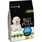 Purina Pro Plan Large Puppy Robust Healthy Start kuře 3 kg – Hledejceny.cz