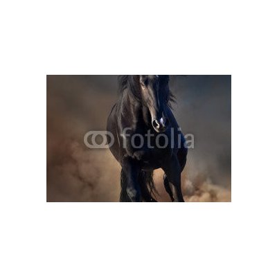 WEBLUX 78859419 Samolepka fólie Beautiful black stallion run in desert dust against sunset sky Krásný černý hřebec běží v pouštním prachu proti západu slunce rozměry 145 x 100 cm – Zboží Mobilmania