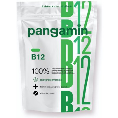 Pangamin B12 200 tablet – Zbozi.Blesk.cz