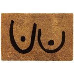 Artsy Mats Rohožka Kokos Neslušná Oranžová 40x60 cm – Zbozi.Blesk.cz