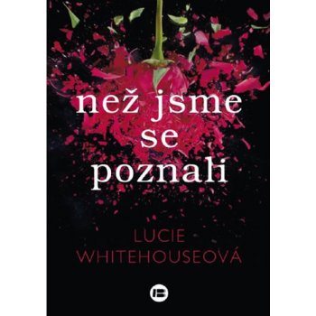 Než jsme se poznali - Lucie Whitehouseová