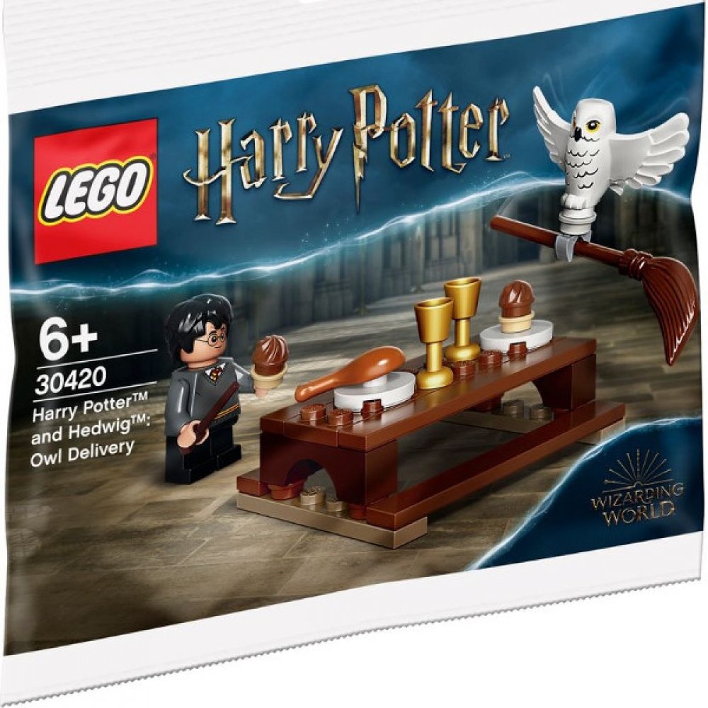 Lego Harry Potter And Hedwig Owl Delivery LEGO 76426 Harry Potter