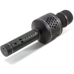 Technaxx BT X35 PRO Bluetooth karaoke mikrofon černá 4686 – Hledejceny.cz