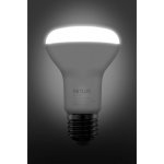 Retlux RLL 425 R63 E27 Spot 10W CW – Hledejceny.cz