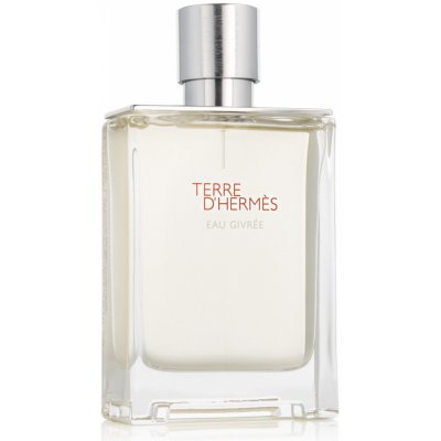 Hermès Terre d’Hermès Eau Givrée parfémovaná voda pánská 100 ml plnitelný flakon – Sleviste.cz