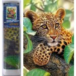 Norimpex Diamantové malování Leopard 30 x 40 cm – Zboží Mobilmania